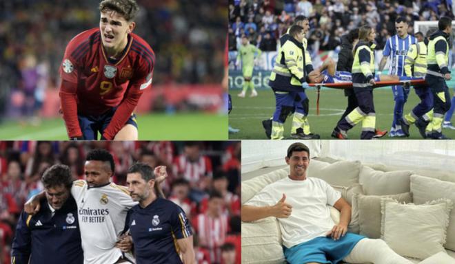 涯不仅是一 涯不仅是一